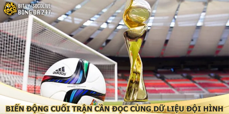 bien-dong-cuoi-tran-can-doc-cung-du-lieu-doi-hinh