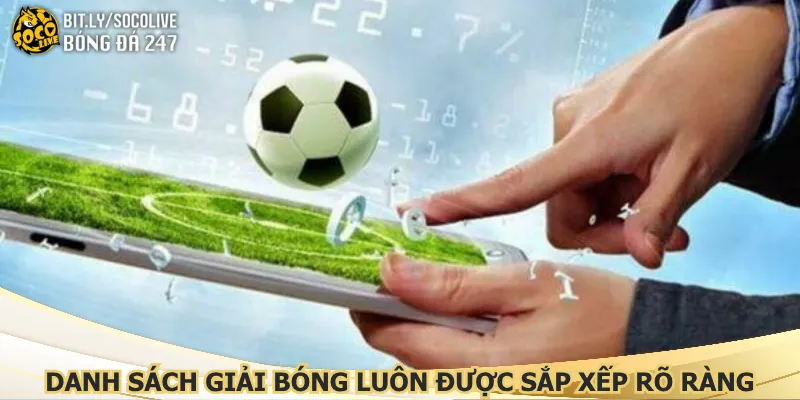 danh-sach-giai-bong-luon-duoc-sap-xep-ro-rang