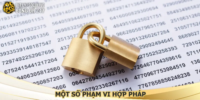 mot-so-pham-vi-hop-phap