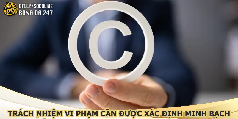 trach-nhiem-vi-pham-can-duoc-xac-dinh-minh-bach
